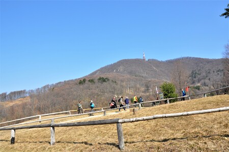 Obiskovalci na rastišču